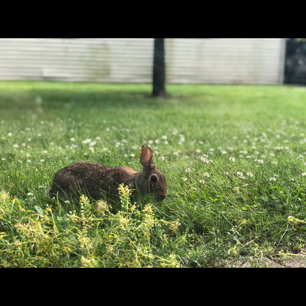 Meet your Posher, Thuy trang